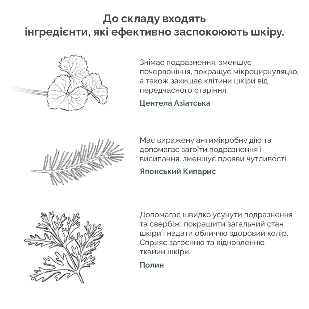 cicachid-ampoule-needly-86723157080789