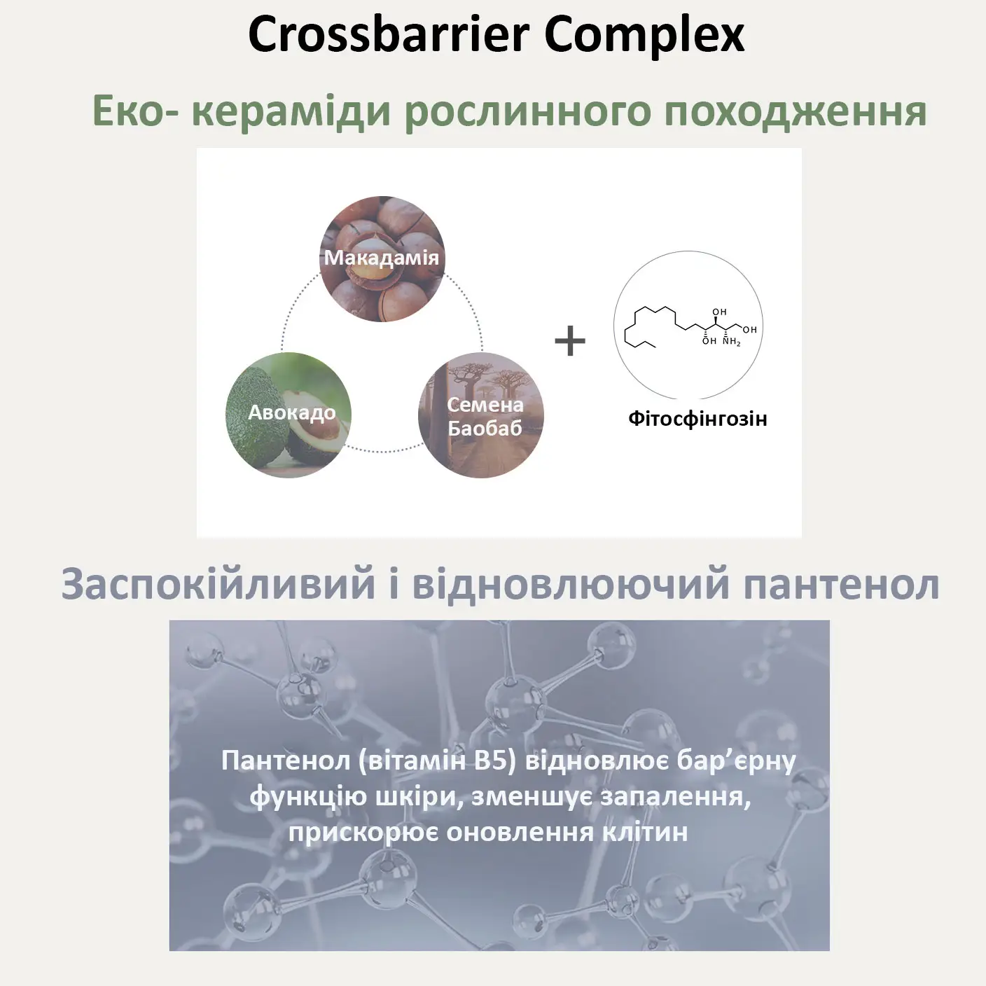 needly-crossbarrier-toner-200-17086951500138
