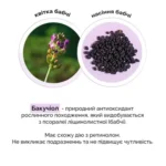 бак